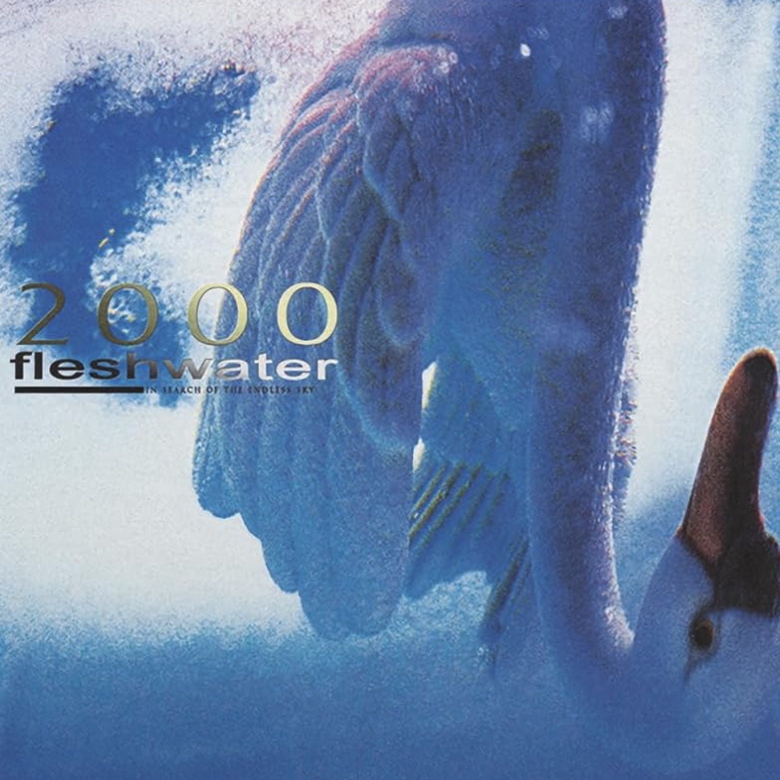 2000: In Search Of The Endless Sky